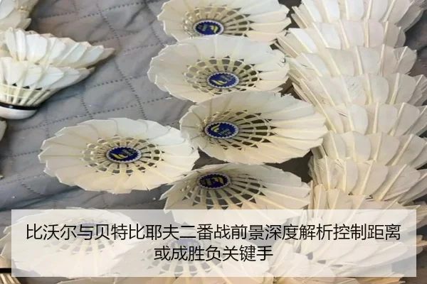 bi-wo-er-yu-bei-te-bi-ye-fu-er-fan-zhan-qian-jing-shen-du-jie-xi-kong-zhi-ju-li-huo-cheng-sheng-fu-guan-jian-shou-2-671.jpg
