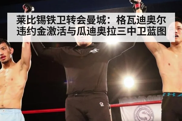 莱比锡铁卫转会曼城：格瓦迪奥尔违约金激活与瓜迪奥拉三中卫蓝图