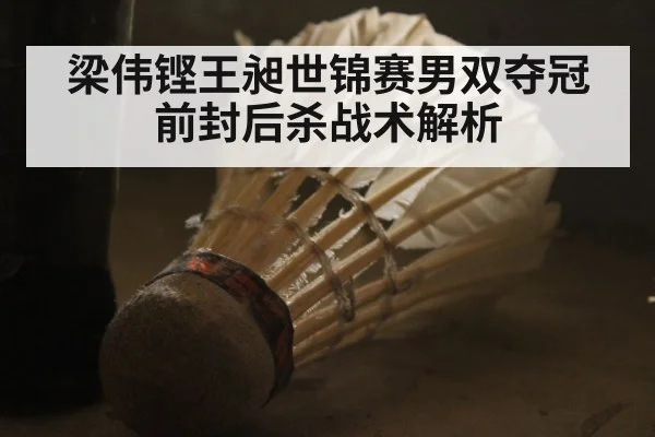 梁伟铿王昶世锦赛男双夺冠 前封后杀战术解析