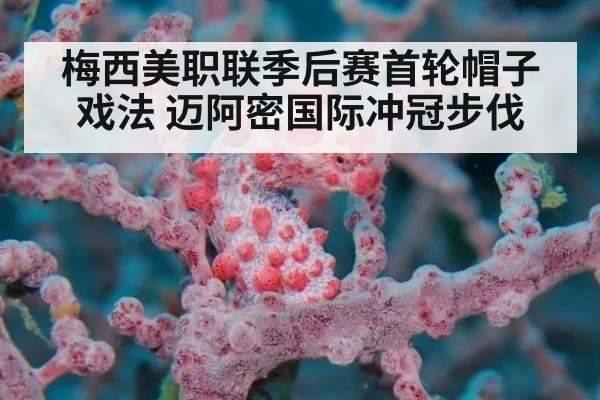 梅西美职联季后赛首轮帽子戏法 迈阿密国际冲冠步伐