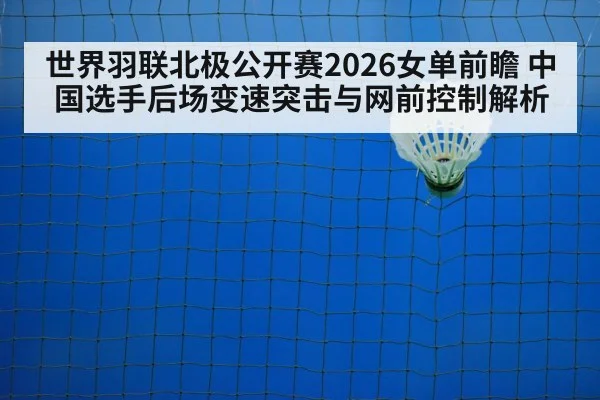 badminton net indoor court closeup