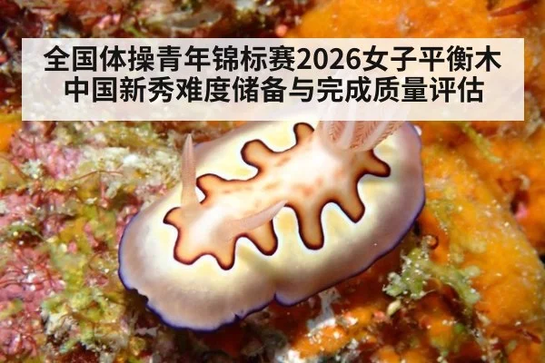 全国体操青年锦标赛2026女子平衡木 中国新秀难度储备与完成质量评估
